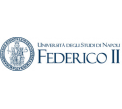 Università degli Studi di Napoli Federico II Università degli Studi di Napoli Federico II